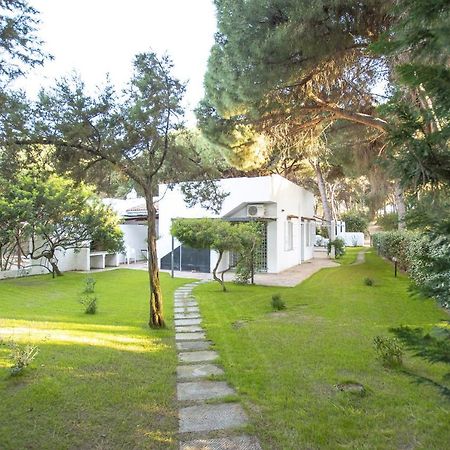 Villa Eucalipto Valledoria  Exterior photo
